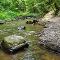 P6280052
