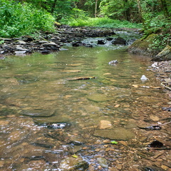 P6280053