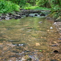 P6280053