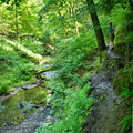 P6280063