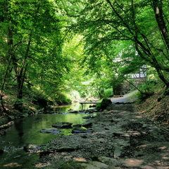 P6280070