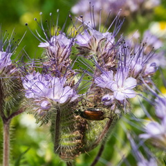 P6280084