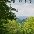 P6280088