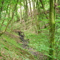 P6290099