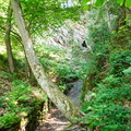 P6290144