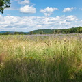 P6290148