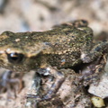 P6290210