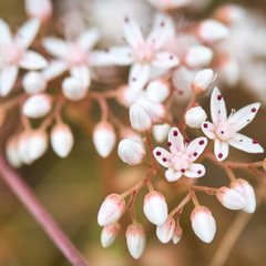P6300241