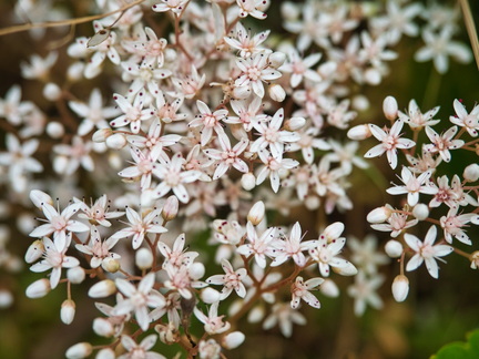 P6300242
