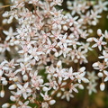 P6300242