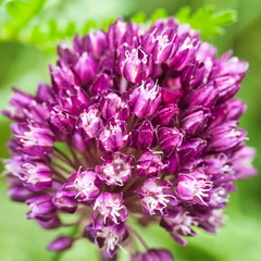P6300243