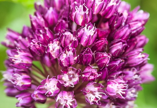 P6300243