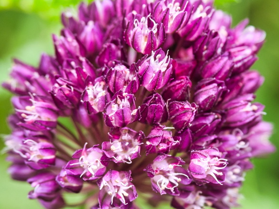 P6300243
