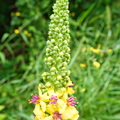 P6300248
