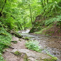 P7010295