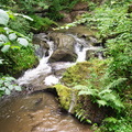 P7010312