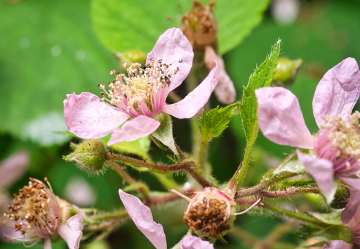 P7010317