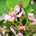 P7010317