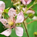 P7010318