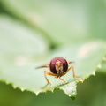 P7010320