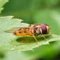 P7010324