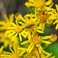 P7010371