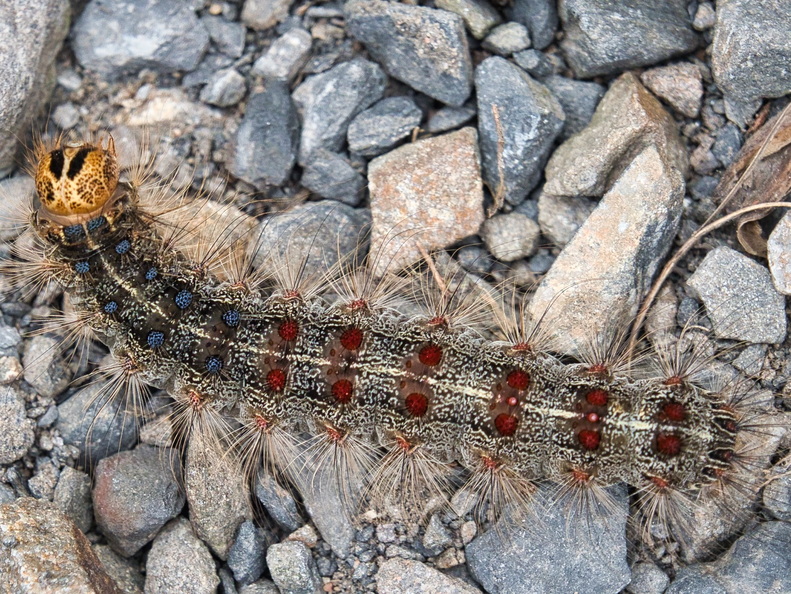 P7040026