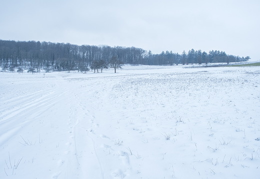 P2100003