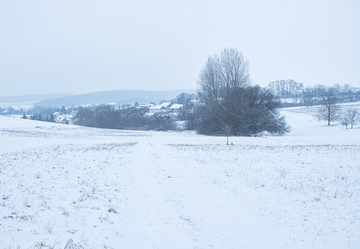 P2100006