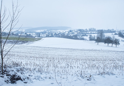 P2100012
