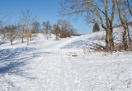 P2120105