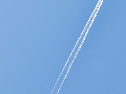 P2130204