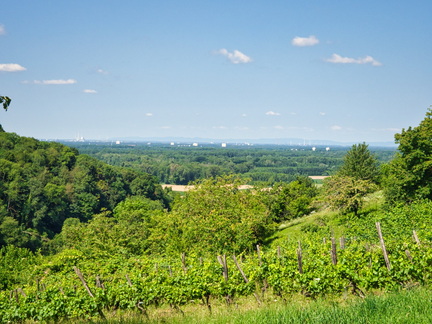 P7180083