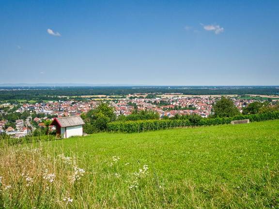 P7180087