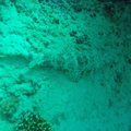 GOPR2321.JPG