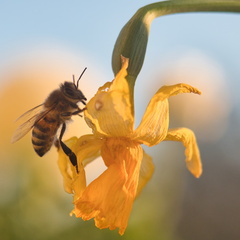 20220303190036-25d6d0ab