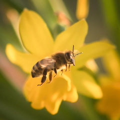 20220303190038-893cafb2