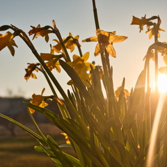 20220303190111-d71df4c2