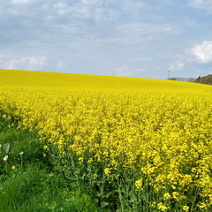 IMG 20220502 165016971 HDR