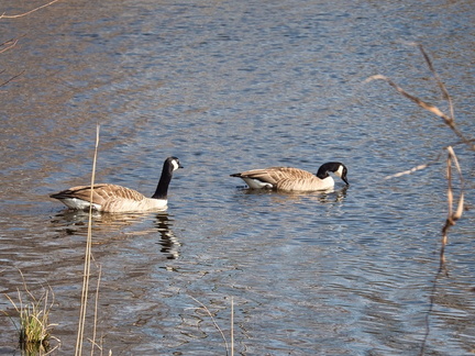 20220301193338-62feff59