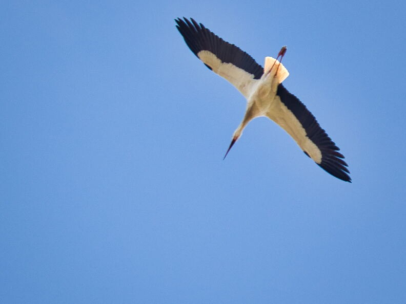 20220301193359-50f782b5