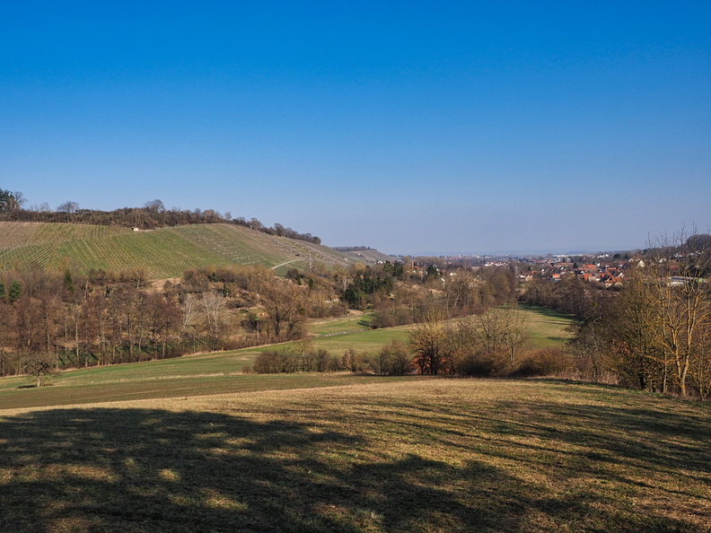 20220307165314-90d5bf4e