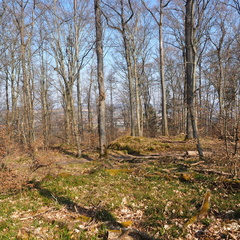 20220307165330-2d79dd1a