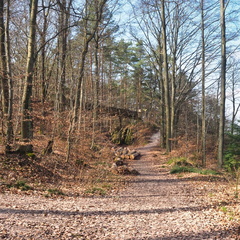 20220307165338-35a2ceb0