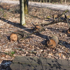 20220307165340-bb441e6c