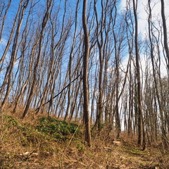 20220307165343-c3dde37a