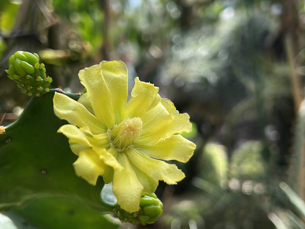 0C7D8087-3E1B-427D-8352-8DF951CA1C7A