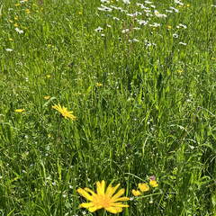 0F0A6F5A-54F3-4008-BBCB-6037F6DAEDA7