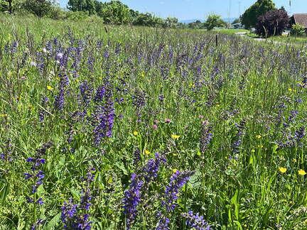 1776C2A6-05C6-4E4A-8324-424DA79B06CA