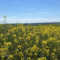 1CAAAA60-3AB9-45CA-82D0-C1F7EA689C18